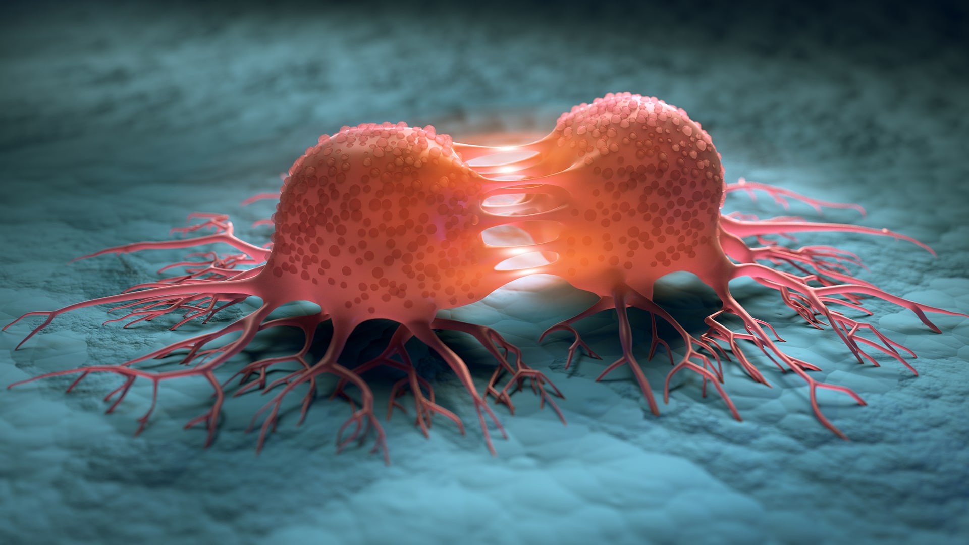 New mechanism behind cancer cell growth revealed