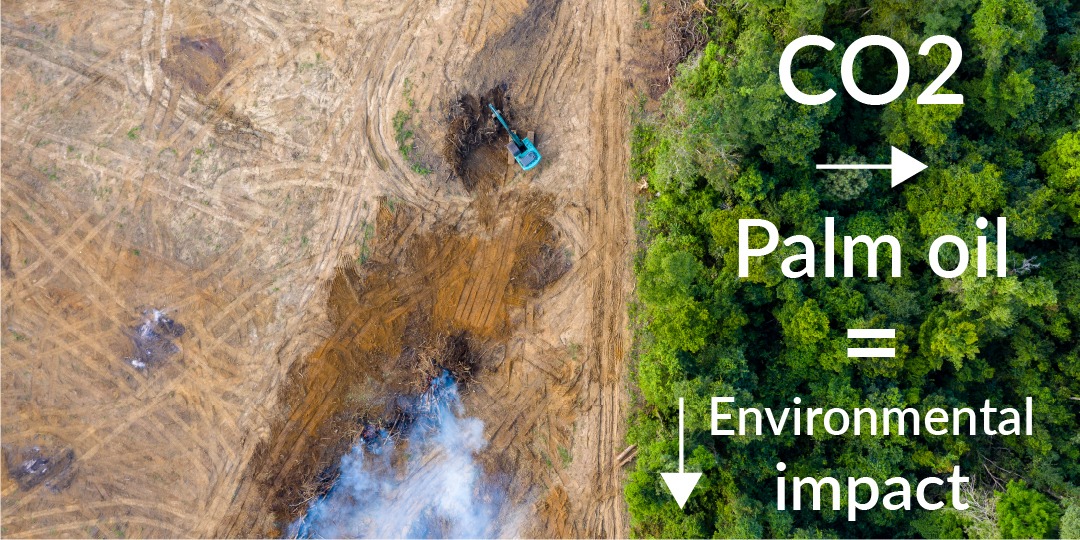Photo of deforestations with the text "carbon dioxide into palm oil equals less environmental impact"