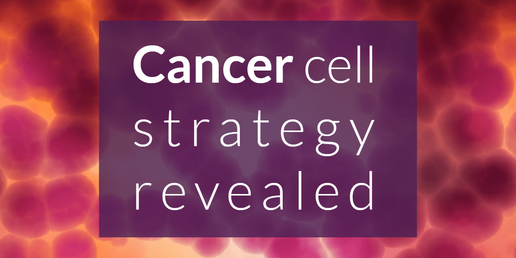 text: cancer cell strategy revealed