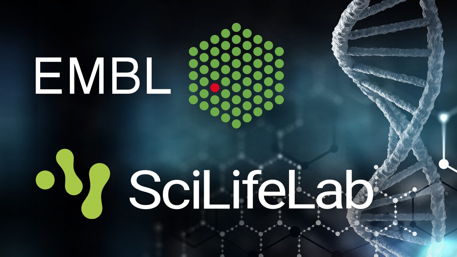 Travel grants for promoting SciLifeLab collaboration with EMBL