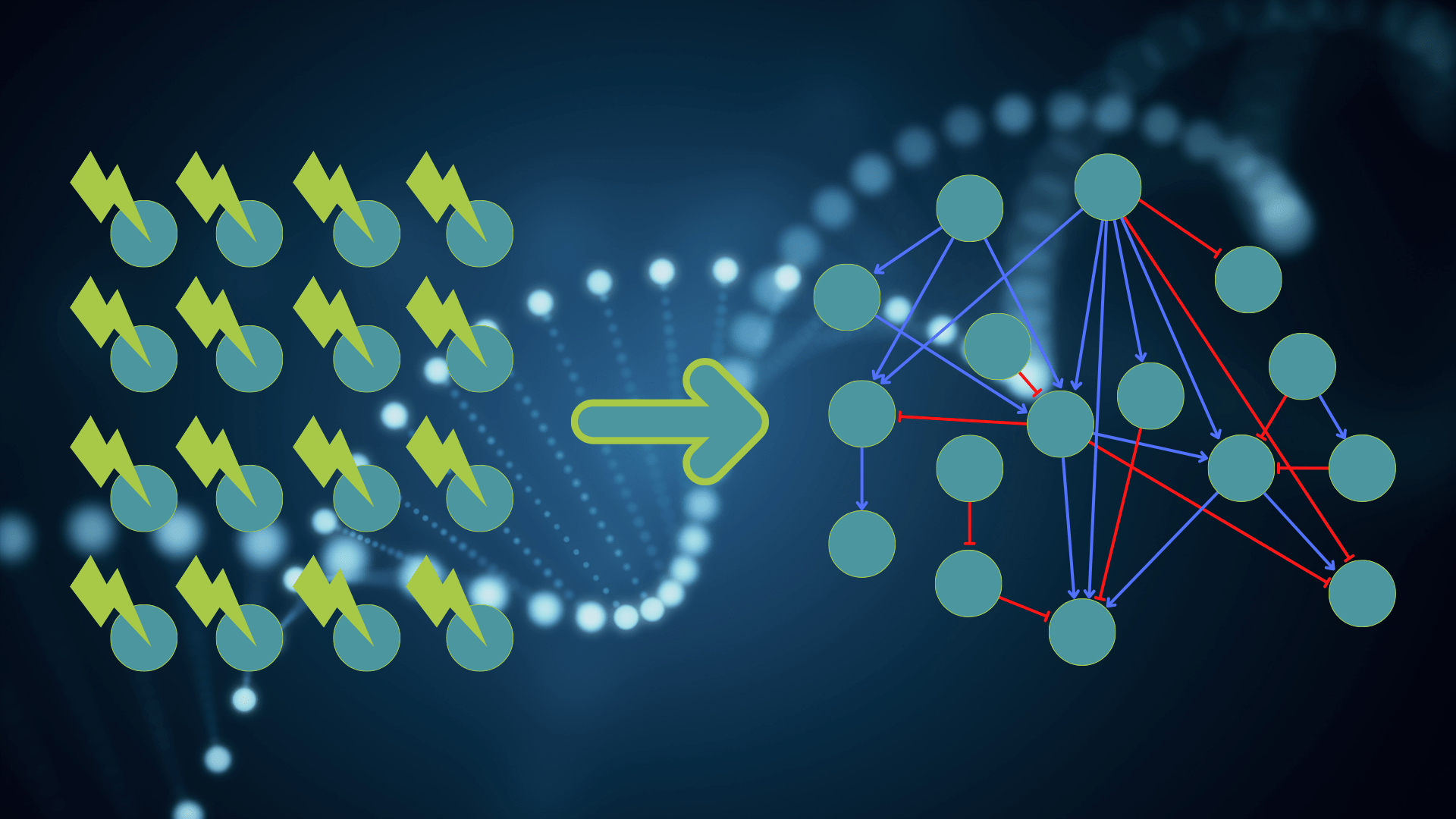 Perturbations revealed to be indispensable for Gene Regulatory Networks