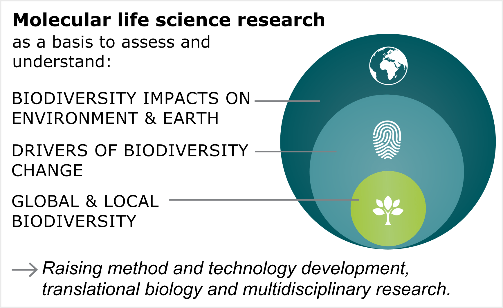 Research in molecular life sciences allows us to describe and understand the drivers and meaning of diversity: changes that are happening, the underlying mechanisms, and the impact of those changes on ecosystems and planetary health. 