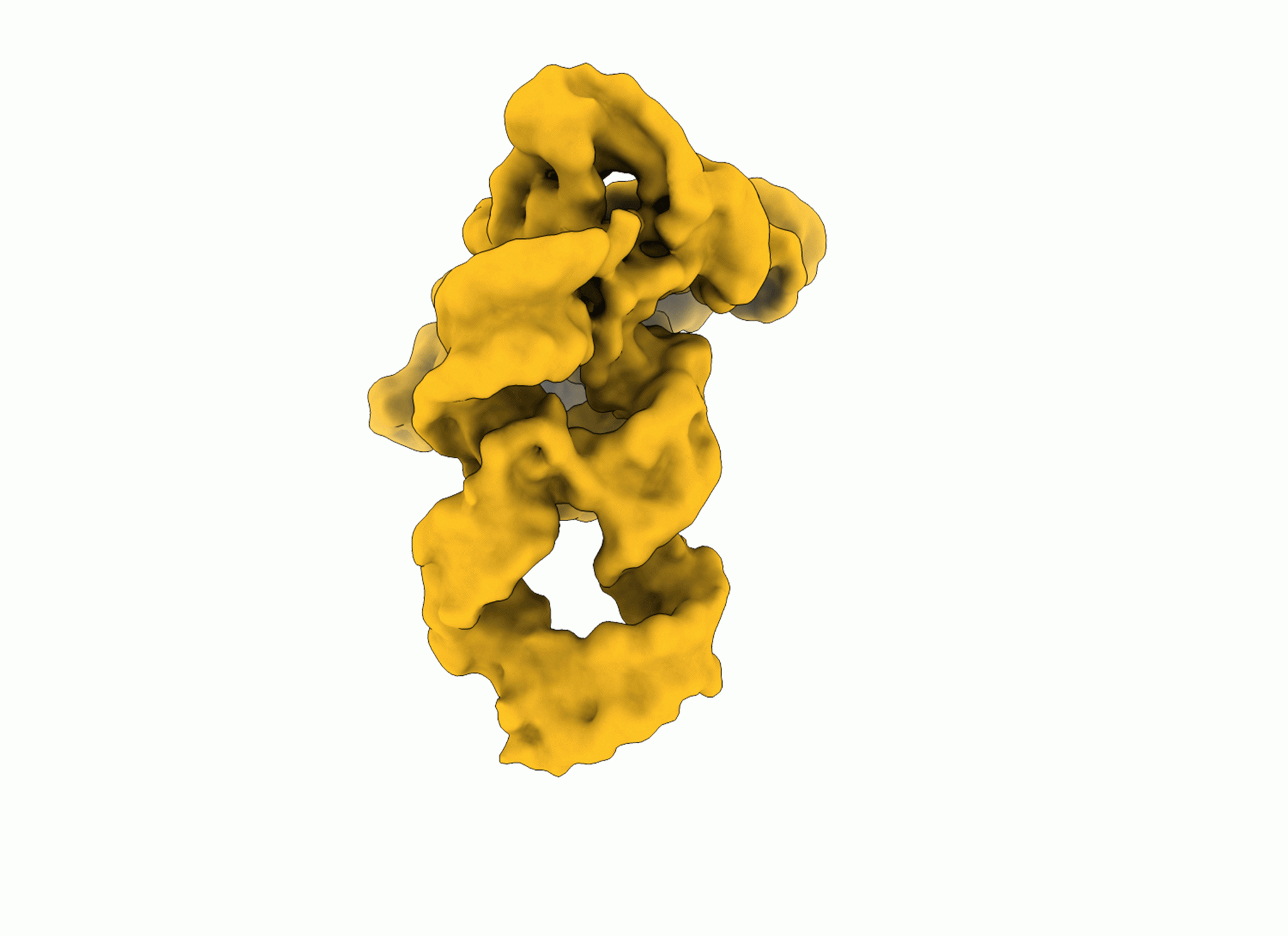 Visualization of the analyzed RNA, with the RNA being yellow and the background white.
