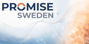 Promise Sweden Image