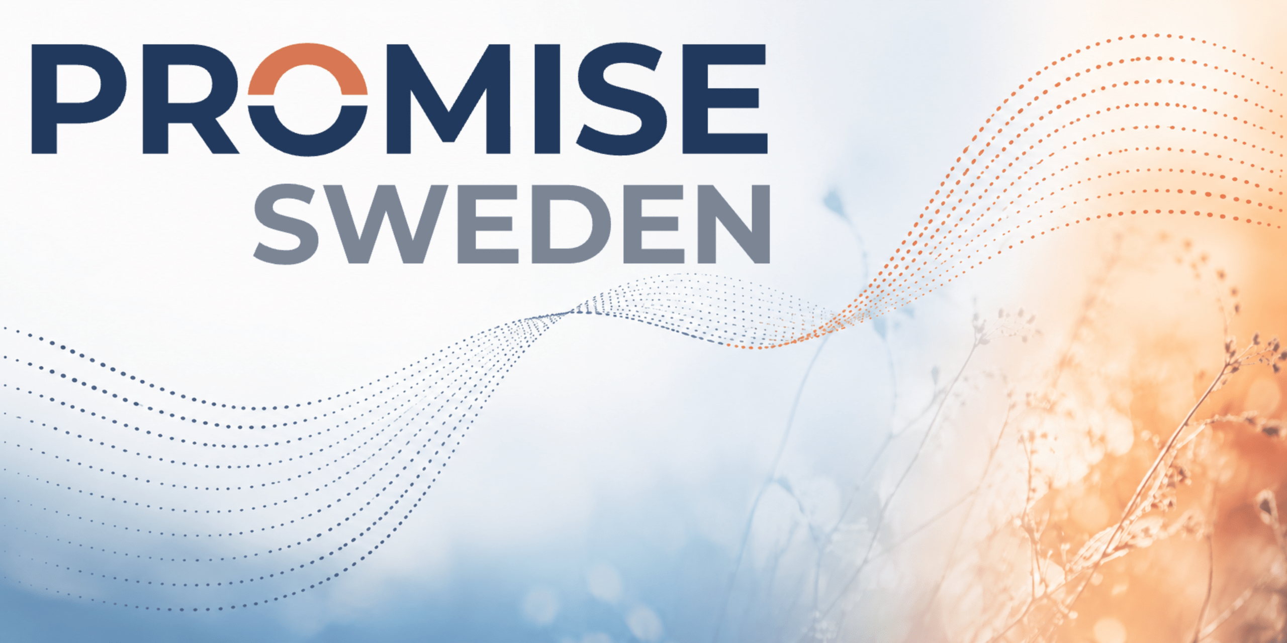 Promise Sweden Image