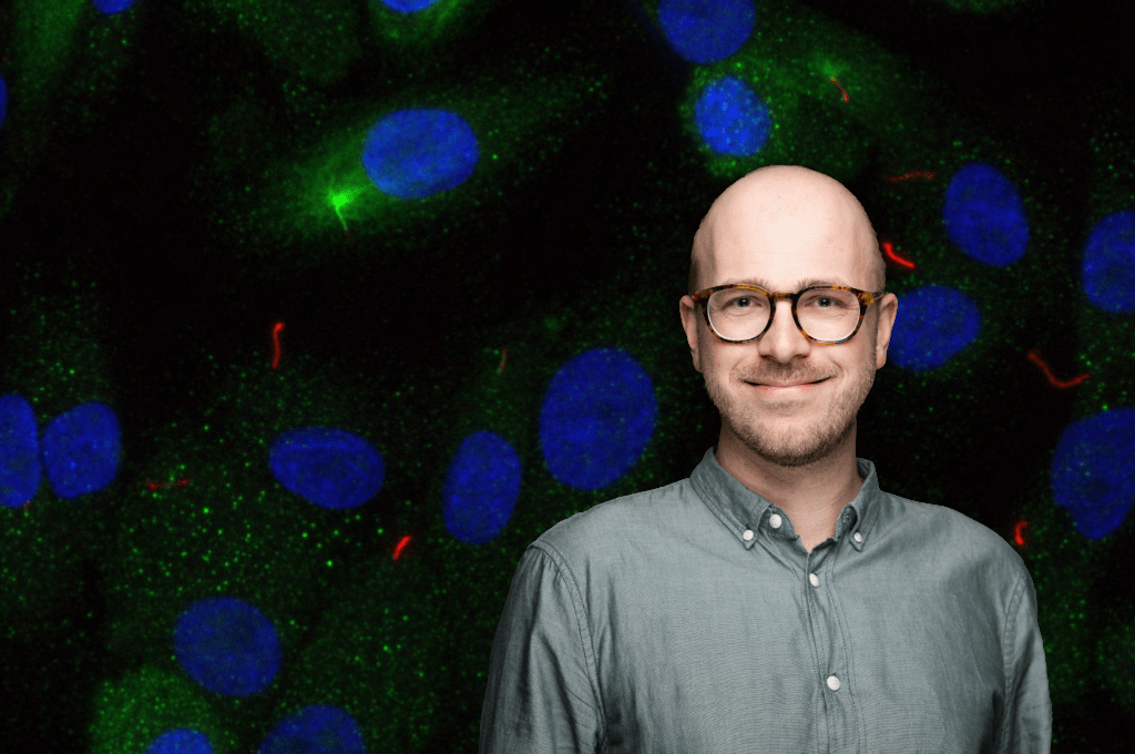 Featured image for A new map of human cilia reveals unexpected protein diversity