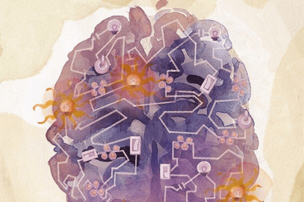 Featured image for New atlas shows how adult brain cells retain traces of their development