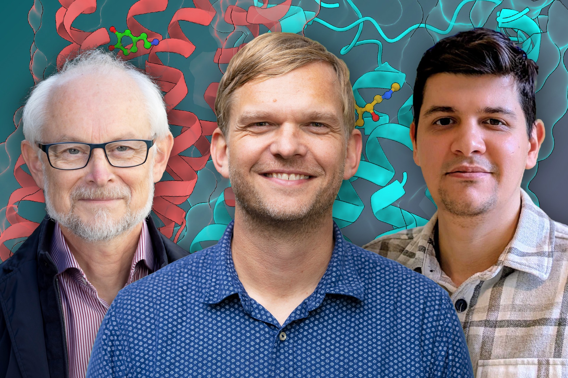 Montage of portraits of Dan Larhammar, Jens Carlsson and Nour Aldin Kahlous, with parts of a figure from the study zoomed in as background – red and bright blue helix-looking things, which actually are the structures of the two receptors.