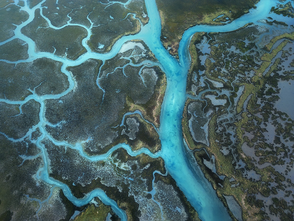 Aerial top-down view of the Aveiro Lagoon in Portugal. Natural channels form branching blue patterns across the wetlands like living veins of water..
