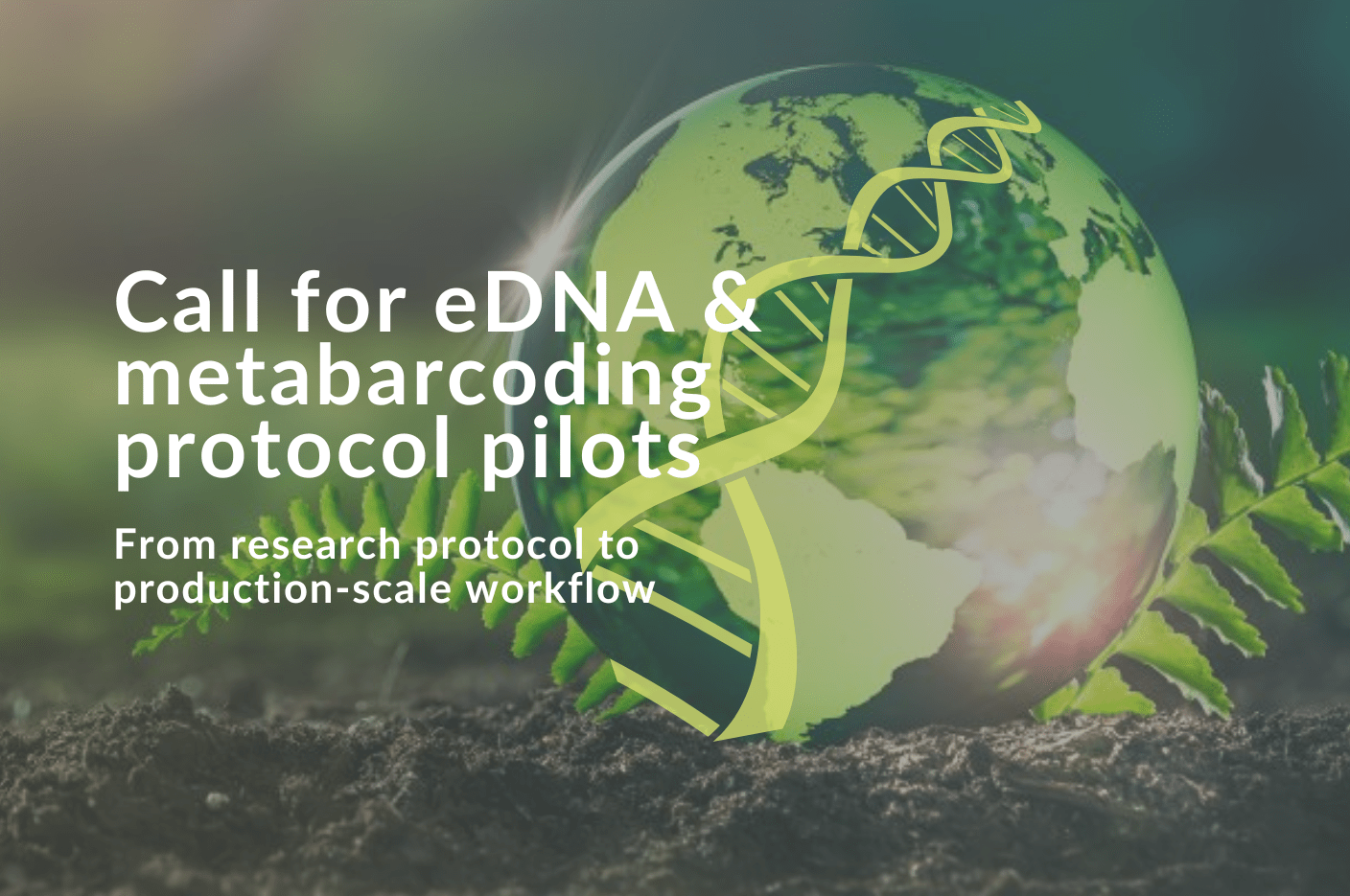 Featured image for Planetary Biology call for eDNA/metabarcoding protocol pilots