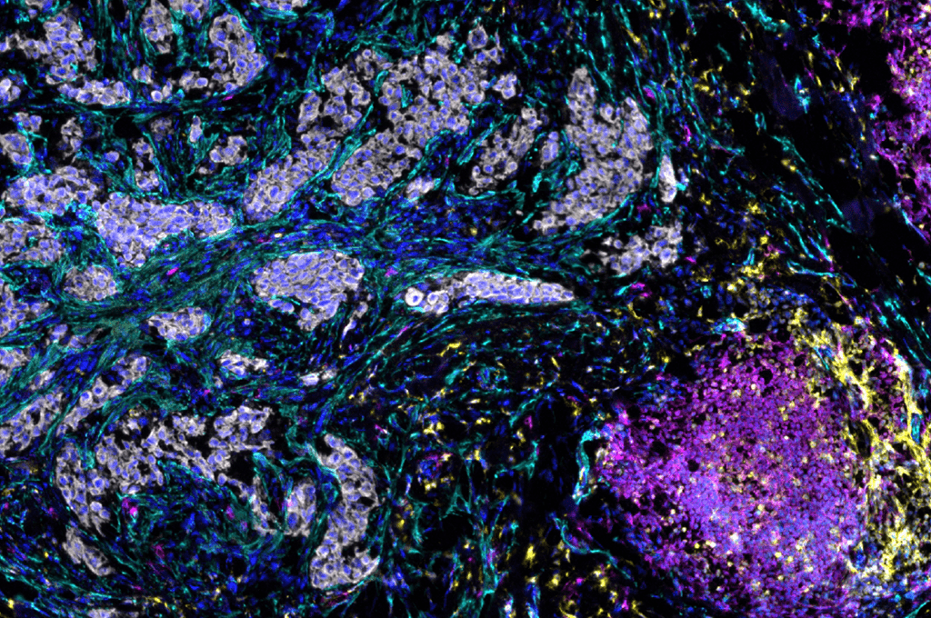Featured image for SciLifeLab Science Summit 2026 to focus on translating cancer research into clinical breakthroughs