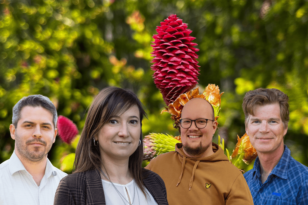 Researchers in front of a Norway Spruce cone.