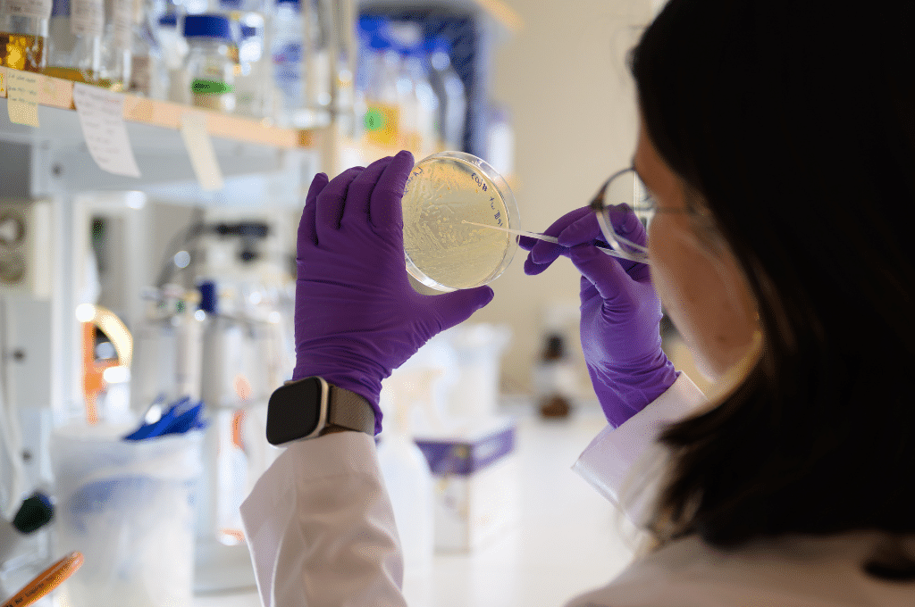 Featured image for Under stress, bacterial RNA and proteins tell different stories