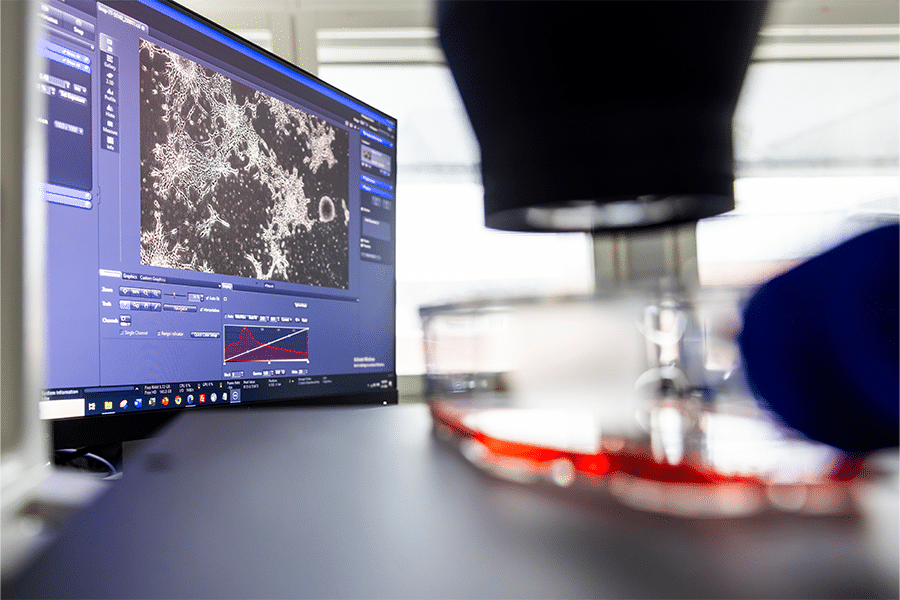 Featured image for New DDD capabilities will support cell line development and antibody engineering