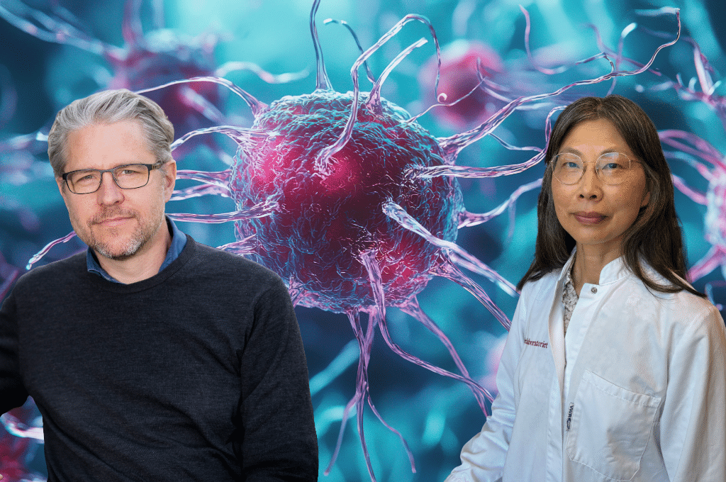 Featured image for Fighting Glioblastoma through AI-driven precision medicine