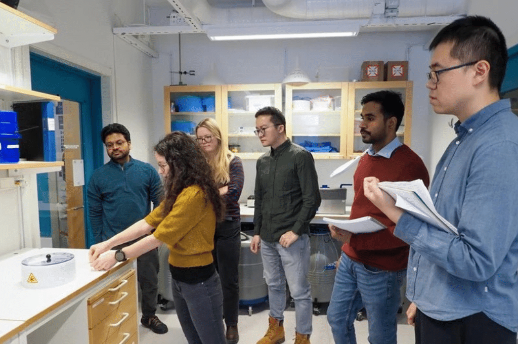Featured image for SciLifeLab Cryo-EM receive funding for new Nordic cryo-EM network